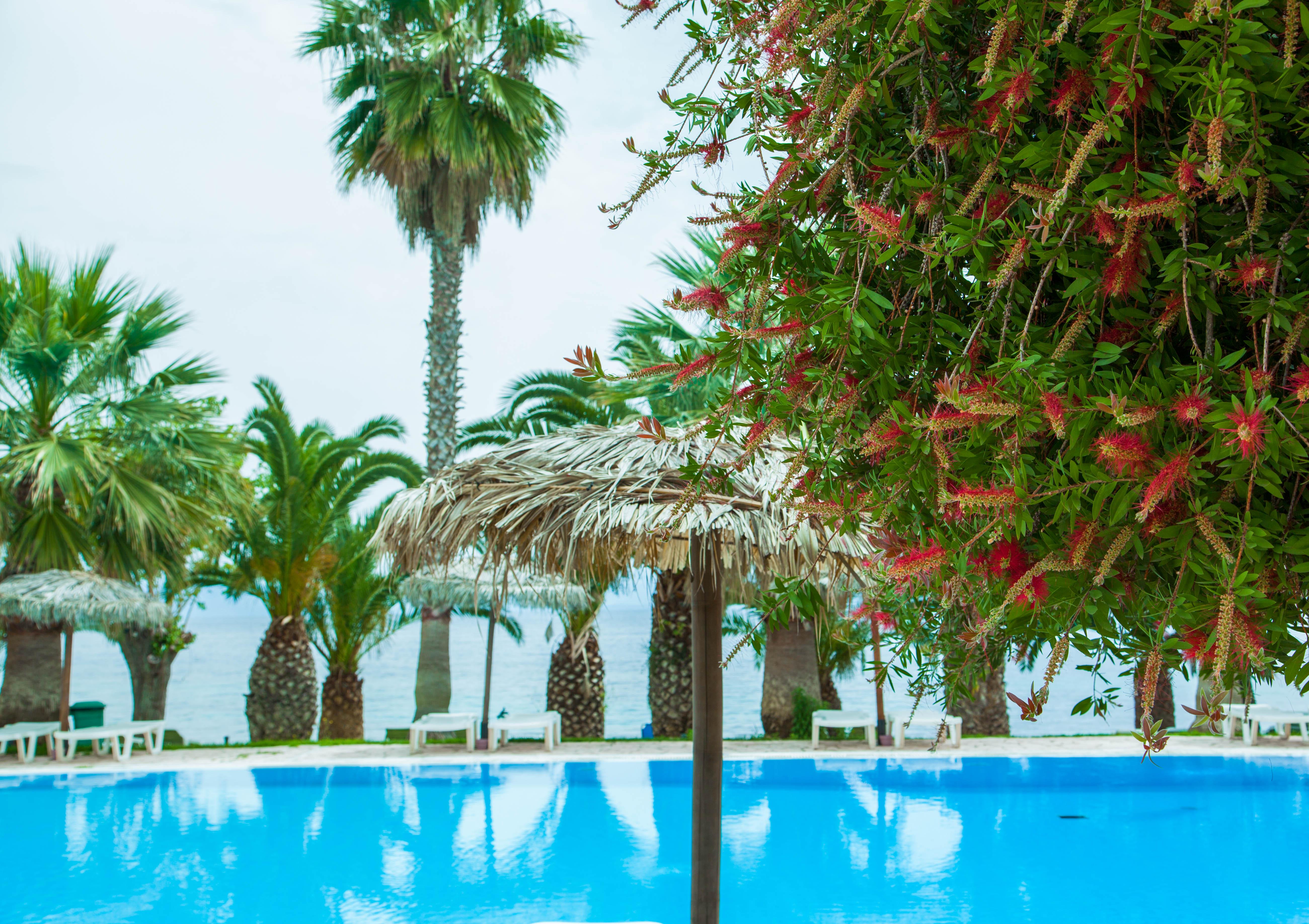 Corfu Senses Resort آغيوس يوانيس بيريستريون المظهر الخارجي الصورة